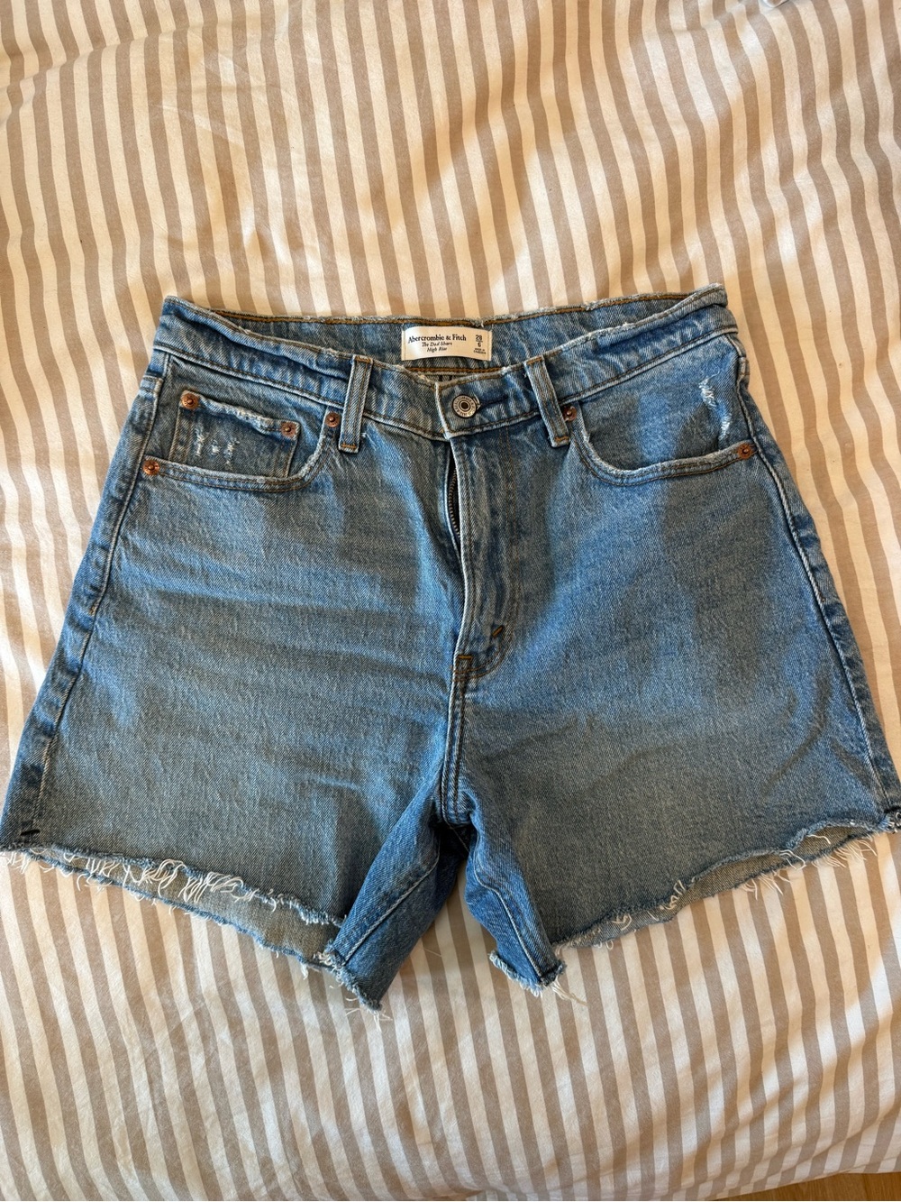 Abercrombie & Fitch “The Dad Short” — NWOT